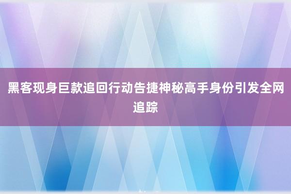 黑客现身巨款追回行动告捷神秘高手身份引发全网追踪