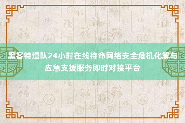 黑客特遣队24小时在线待命网络安全危机化解与应急支援服务即时对接平台