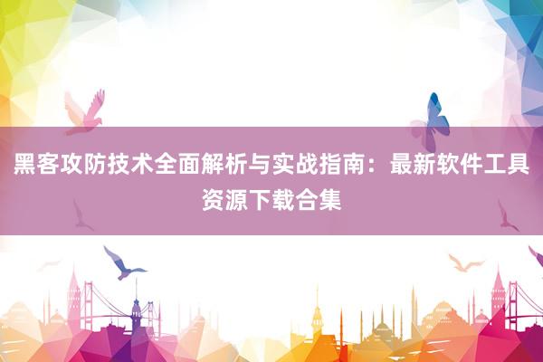 黑客攻防技术全面解析与实战指南：最新软件工具资源下载合集