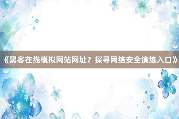 《黑客在线模拟网站网址？探寻网络安全演练入口》